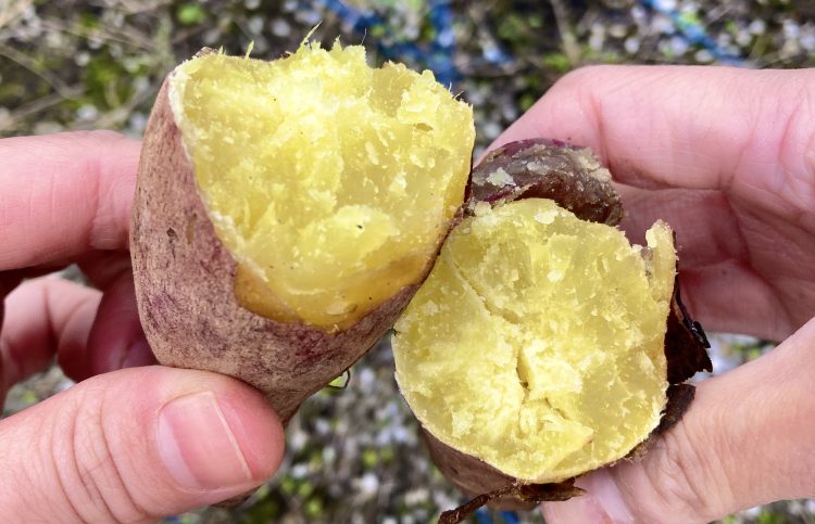 焼き芋パーティー