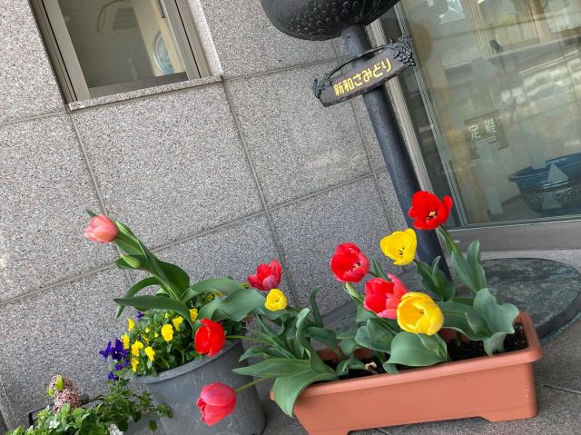 .
令和７年度が始まりました🌸
春休みだったお友達も登園してきて
クラスみんなが揃い大喜びな子ども達。

また新しい１年のスタート！
今年はどんな楽しい事が待っているかな？
ワクワクドキドキ✨

#samidori #さみどり #早翠 #保育園 #こども園 #遊び #敦賀 #福井 #子ども #こども #教育 #子育て #21世紀型スキル #非認知能力 #