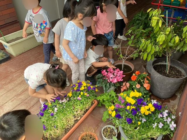 .
保育園にはたくさんの植物や花があり、視覚からもそして遊びの中にも取り入れられている身近な存在です。

季節によって種類も異なり、今の時期ならではのものを観察して香りや色、名前などを調べ、オリジナルの花瓶と共に保育室を彩りました♪

#samidori #さみどり #早翠 #保育園 #こども園 #4歳児 #製作 #クレヨン #花 #花瓶 #自然 #観察 #敦賀 #福井 #教育 #こども #子ども #子育て #21世紀スキル #非認知能力