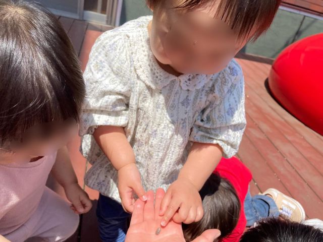 初めて見る虫やお花、いろいろなものに興味津々です♪自然からたくさんのことを感じてくれるといいな♪

#samidori #さみどり  #子ども園  #1歳 #遊び #敦賀 #福井 #子ども #こども #教育 #子育て #21世紀スキル #非認知能力 #自然　#虫