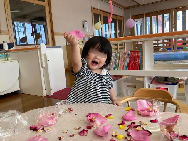 バラ園でたくさんのきれいなバラを見てきたばななぐみさん。後日、咲き終わった花びらを集めたり、氷に閉じ込めたりして香りや感触を楽しみながら五感を使った遊びをたっぷり味わいました。

スタンプ遊びでもたくさんの可愛いバラが咲きましたよ。小さな手から生まれた素敵なアートです！！

#samidori #さみどり #早翠 #幼稚園 #子ども園 #0歳児 #遊び #敦賀 #福井 #子ども #こども #教育 #子育て #21世紀スキル #非認知能力 #バラ園 #五感を使って #経験からつながる遊び