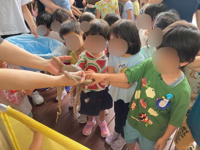 ．
保育園に生きたタコがやってきた！！
足は何本？顔はどこ？
実際に見て・触って色々なことを感じていた子どもたち。
最後は茹でて、たこ焼きパーティーとして
楽しく、そして美味しく命をいただきました。

#samidori #さみどり #早翠 #保育園 #子ども園 #敦賀 #福井 #子ども #こども #教育 #たこ #たこ焼き #経験 #体験 #食育 #子育て #21世紀スキル #非認知能力