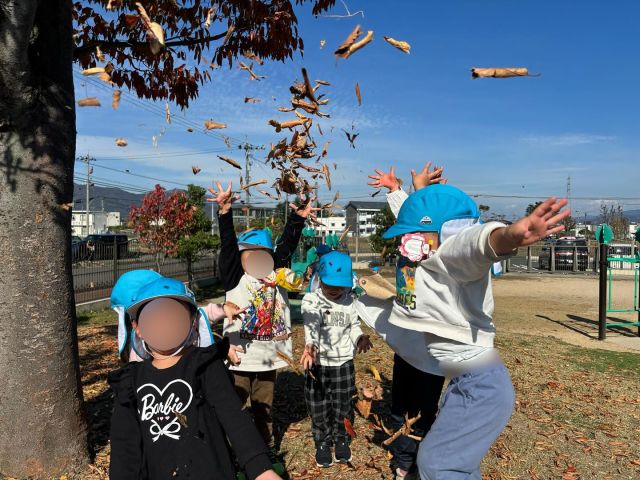 木々の色がすっかり変わり、冬を迎えようとしている園庭。

地面には赤、黄、茶色の葉っぱがいっぱい！
落ち葉を踏む「サクッ」という音を楽しんで、頭の上からふわっと降る葉っぱのシャワーに大喜び。

拾った葉っぱはすぐに遊び道具に変身⭐︎
動物の耳にしたり、メガネにしたり、たくさん集めて葉っぱの花束を作ったり…
同じ葉っぱでも、子どもたちの発想で無限に広がる遊び。

季節の変化が、今日の遊びをまたひとつ豊かにしてくれました。

#samidori #さみどり #早翠 #幼稚園 #子ども園  #3歳 #遊び #敦賀 #福井 #子ども #こども #教育 #子育て #21世紀スキル #非認知能力 #落ち葉遊び